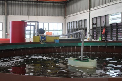 Aquaculture